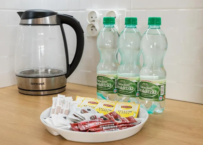 Apartment Goclawek Spacious By Bookinghost